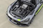Mercedes-AMG GT R PRO 2019 года (WW)